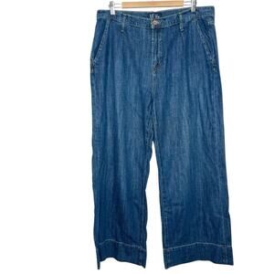 Gap High Rise Wide Leg Jeans Womens 16/33 Dark Wash Pleated Loose Skater Baggy